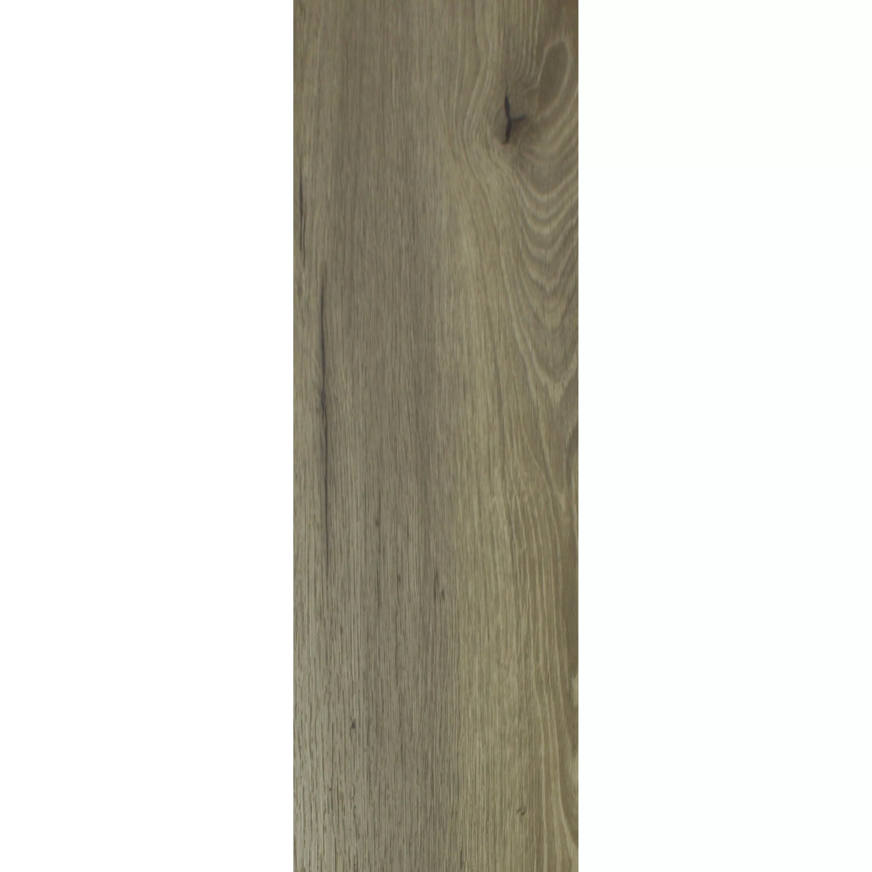 Vinylboden Klebevinyl Newcastle 23,2x122,7cm Braun