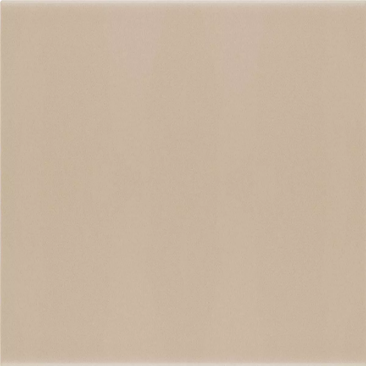 Wandfliesen Belluno Pastell Taupe 12,4x12,4cm