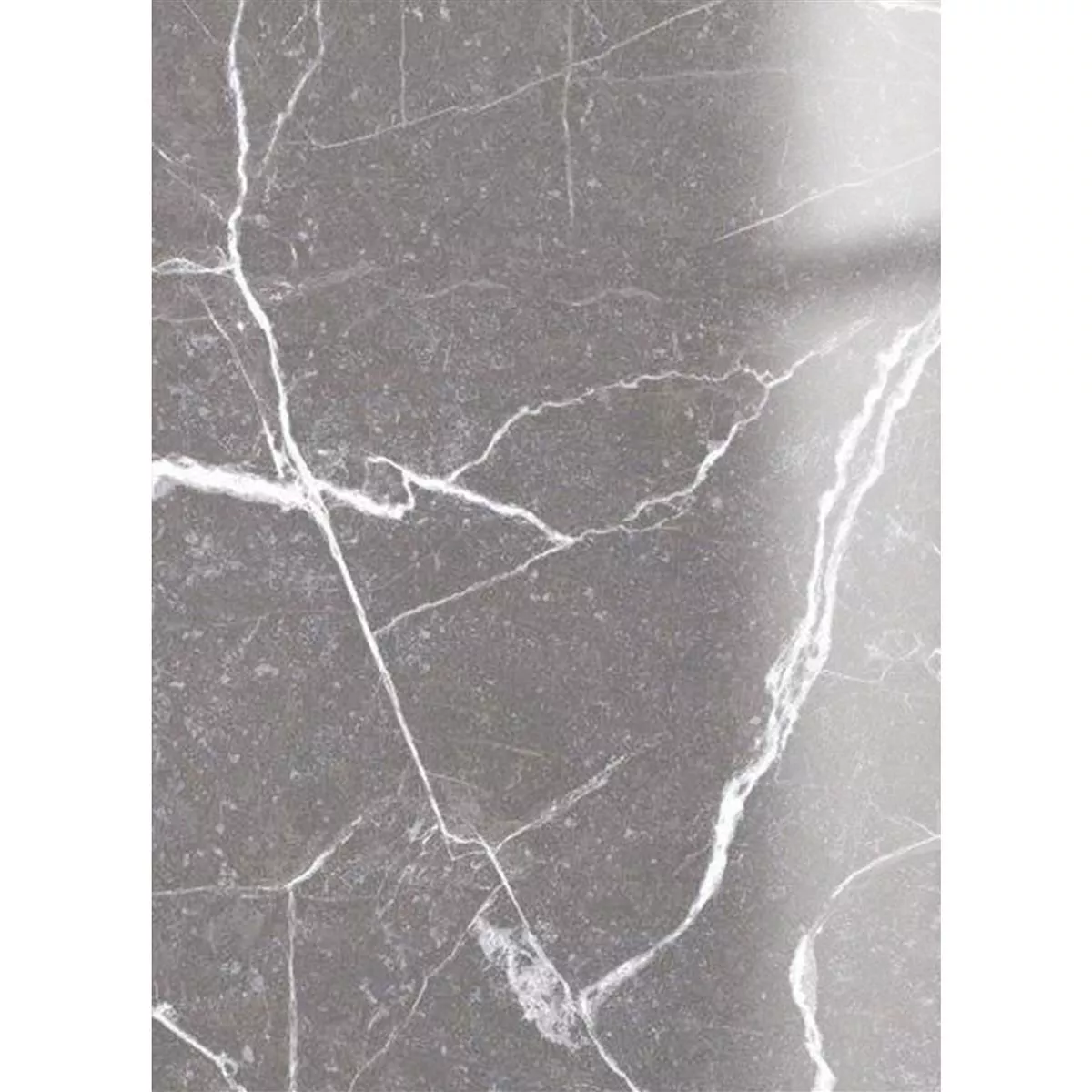 Bodenfliesen Santana Marmoroptik Poliert Grau 60x120cm