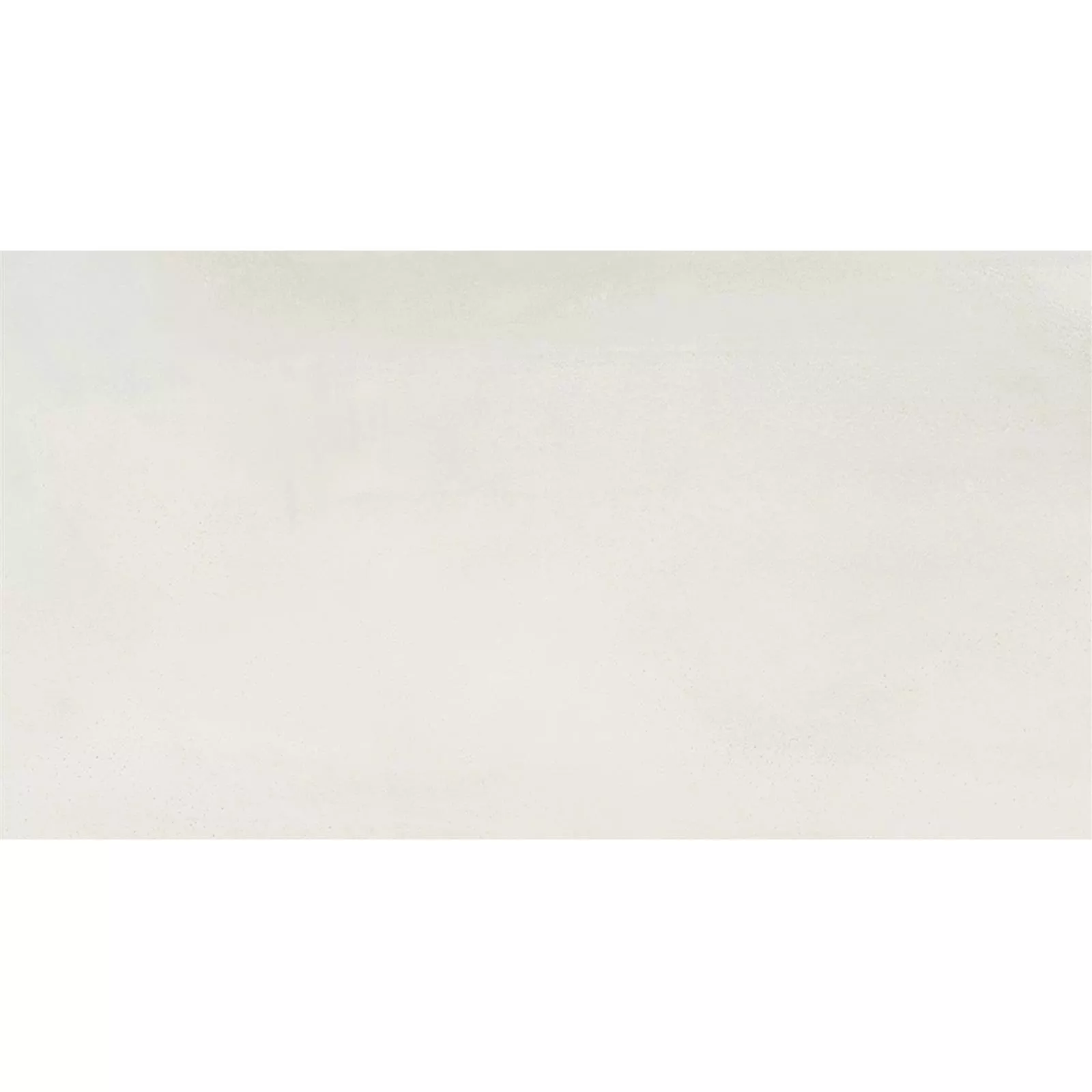 Wandfliesen Queens Rektifiziert Sand Grundfliese 30x60cm