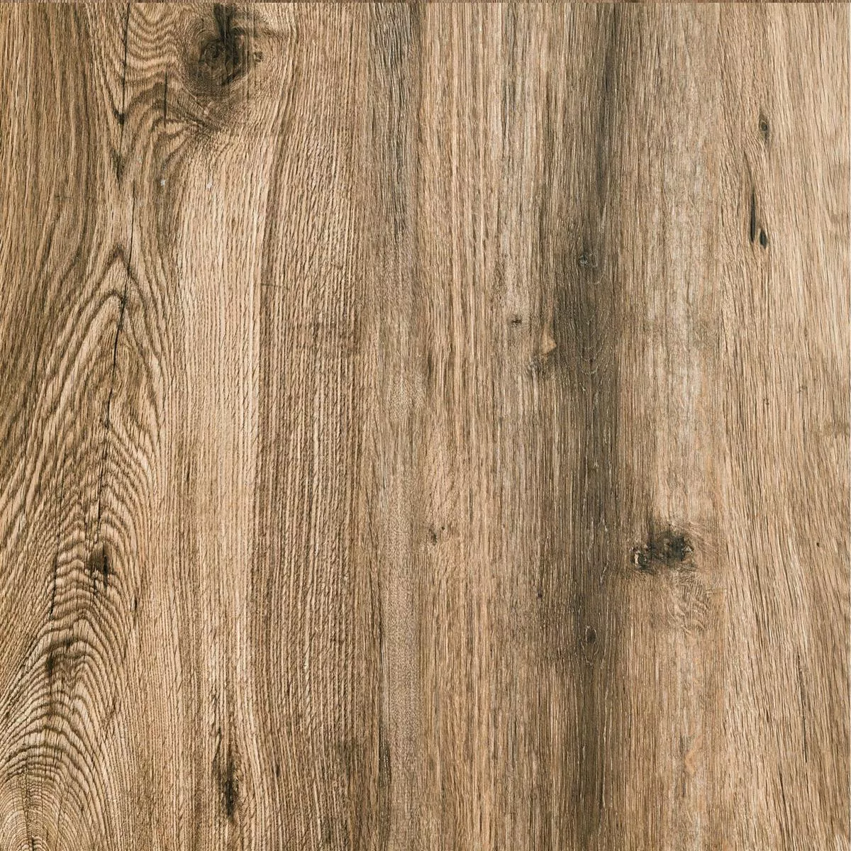 Terrassenplatten Feinsteinzeug Starwood Holzoptik Oak 60x60cm