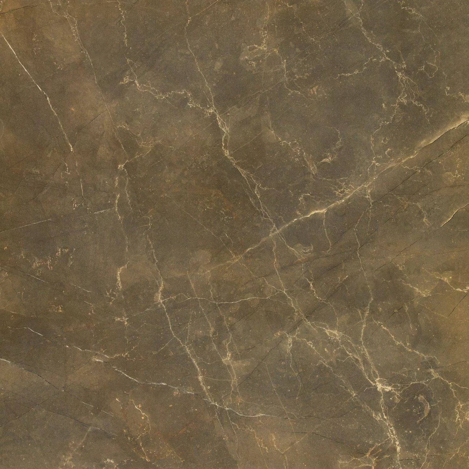 Klinker Marmoroptik Imperial Khaki 80x80cm Klinker Marmoroptik Imperial Khaki 80x80cm