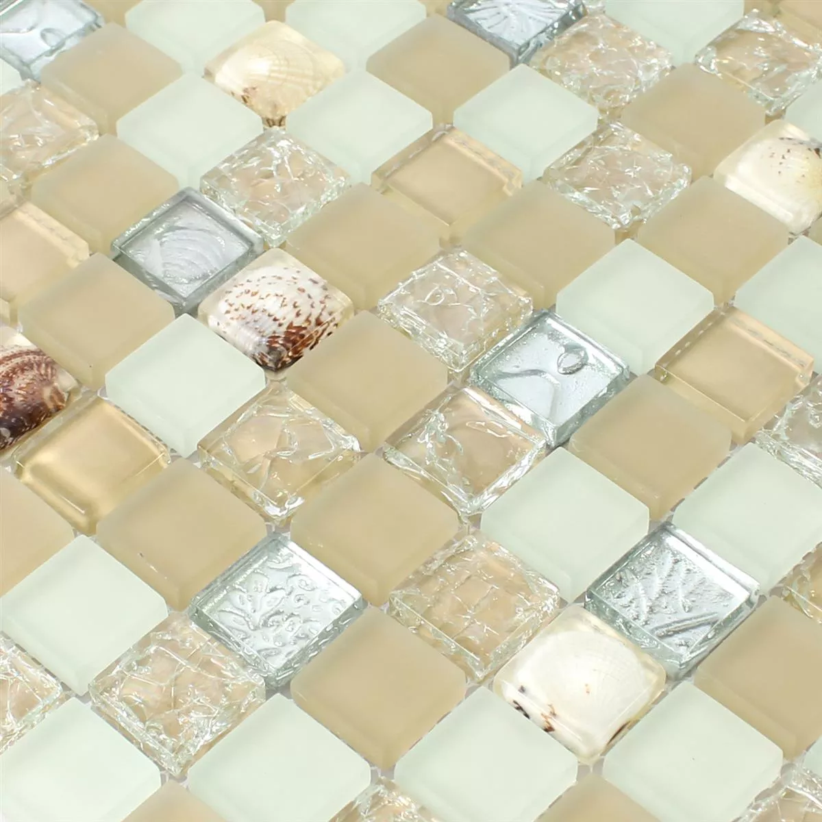 Glas Muschel Mosaikfliesen Byron Beige Mix